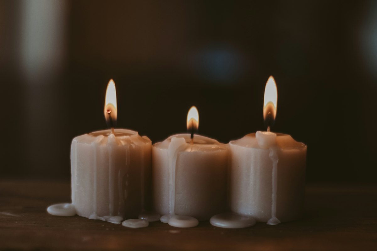 Candle Warmer Lamp: Our Review of the Viral Decor [2026]